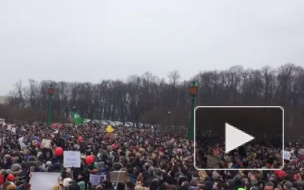 Первые видео с Марсова поля: там проходит массовая акция 