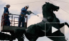 Чиновники обмыли коня в центре Петербурга в честь праздника реставраторов