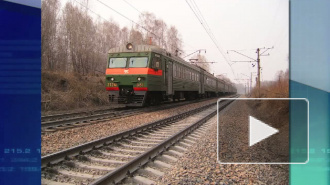 Дерево упало на электричку под Петербургом