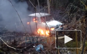 В Ленобласти подростки на "Жигулях" съехали в кювет и сожгли машину