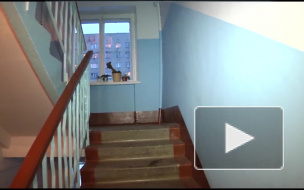 Ярославль: бдительный таксист спас 84-летнюю старушку от мошенника