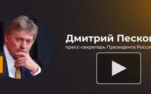 Песков рассказал о новом порядке публикаций деклараций парламентариями