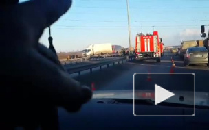 Видео: В страшной аварии с фурами на КАД погиб человек 