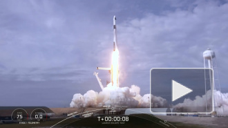 Для полета на МКС на корабле Маска выбрали первых туристов