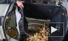 Кингисеппские таможенники нашли под обшивкой автомобиля 50 кг консервированного кошачьего корма