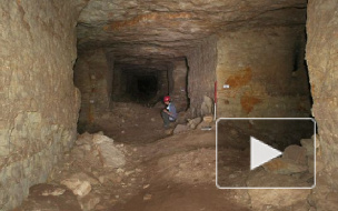 В Египте раскопали захоронение с 8 млн мумифицированных собак