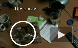 "Единороссы" застукали Шеина рядом с печеньками