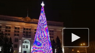 Мэр Кемерова объяснил покупку новогодней елки почти за 18 млн рублей