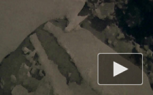 Навигация в Петербурге завершилась на полмесяца раньше из-за похолодания