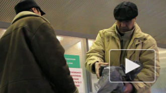 Чемодан, вокзал,Ташкент. Приставы проводили мигрантов в Пулково