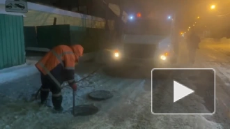 Воду в Петергофе и Ломоносове очистили