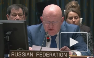 Постпред России при ООН Небензя заявил о планах навсегда исключить любую угрозу от Украины