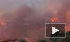На севере Аттики вспыхнул сильный лесной пожар