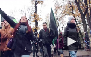 Дыхание Петербурга: самые важные события недели