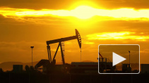 В Белоруссии назвали "идеальную" цену на нефть из России
