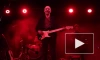Вышел посмертный концертный клип Петра Мамонова на песню "Улетаю"