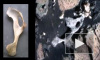 Уфологи нашли на снимках Марса окаменелые кости внеземного происхождения