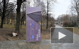 Петербуржцы отметили недочеты при благоустройстве Заневского парка
