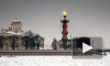В Петербурге встретят китайский Новый год зажжением Ростральных колонн