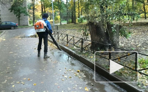 Гастарбайтер пылесосит листья