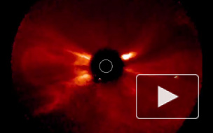 Вспышка на Солнце, последние новости: какие последствия угрожают жителям Земли