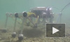Итальянский робот-краб поможет ученым изучить тайны морского дна