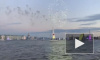 Видео: В акватории Невы прошел парад яхт "Вальс парусов"