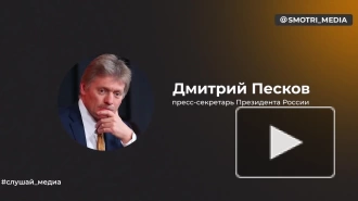 Песков назвал "данью людям, служащим своей стране" пышную встречу россиян во Внуково-2