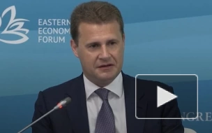 Глава Минвостокразвития заявил о динамичной восточной повестке России
