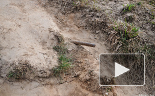 В Екатеринбурге погиб первоклассник после прогулки на школьном стадионе