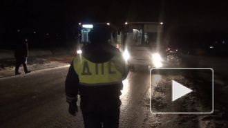 В Петродварцовом районе в 13 автобусах нашли нарушения 
