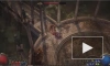 Свежие трейлер и геймплей Path of Exile 2 посвятили Охотнице