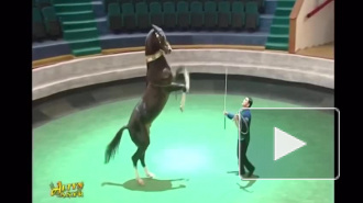 Президент Туркмении выступил в цирке на коне