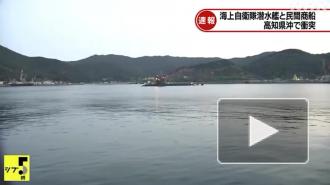 Подводная лодка столкнулась с частным торговым судном у берегов Японии