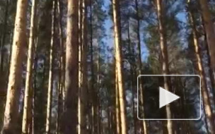 Свердловские школьники стали свидетелями сеанса изгнания дьявола 