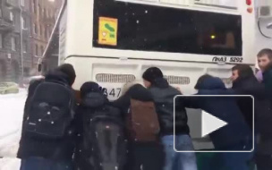 В Петербурге застрявший в сугробе автобус толкали опаздывающие школьники