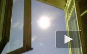 СК: Петербурженка вылетела в окно с шестилетним сыном и разбилась насмерть