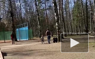 В четверг в Петербурге будет облачно и душно