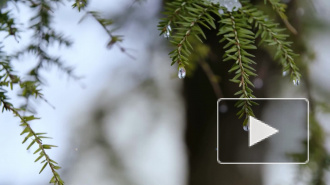 В Гидрометцентре заявили, что сильные морозы еще могут ударить в марте