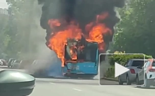 Видео: на Витебском проспекте сгорел пассажирский автобус