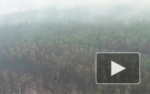 Экипаж разбившегося в Иркутской области Ил-76 погиб мгновенно