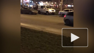 На Кронштадтской площади полиция весь вечер обыскивала "Шкоду Рапид"