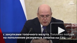 Мишустин: регионы Дальнего Востока и Арктики получат 4,5 млрд рублей на закупку топочного мазута