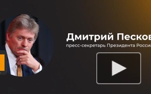 В Кремле прокомментировали запрет на Украине фильма "Чебурашка"