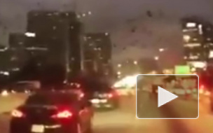 Жуткое видео из США: стая черных птиц атаковала автомобилистов в Хьюстоне