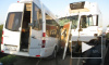 Страшная смерть в Нижнегородской области: автобус с детьми разбился при лобовом столкновении