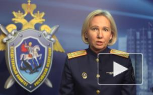 Следствию не удалось найти заказчиков дела Голунова 