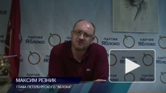 Резник о Полтавченко: Кандидат в губернаторы появился как чертик из табакерки