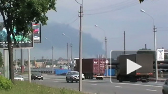 Главный токсиколог Петербурга: дым от пожара в Красном бору опасен для здоровья