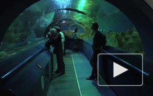 В Кронштадте появятся океанариум и интерактивный музей